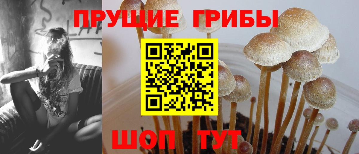 Галлюциногенные грибы Cubensis  Вход с VPN  Благовещенск 
